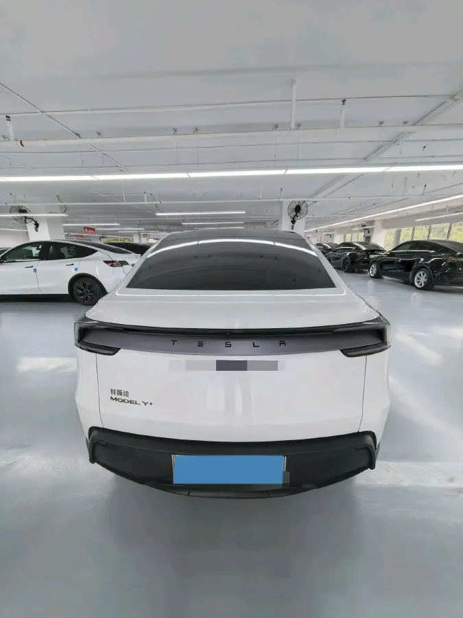 TESLA – 2025 – MODEL Y BEV
