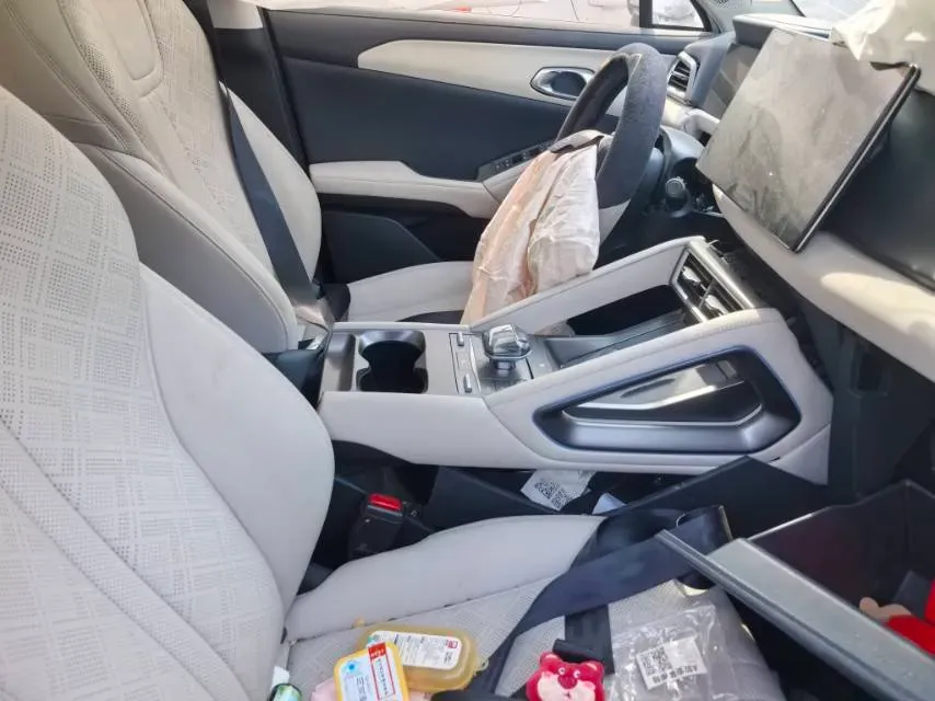 BYD YuanUP – 2024 – 3P8YBN