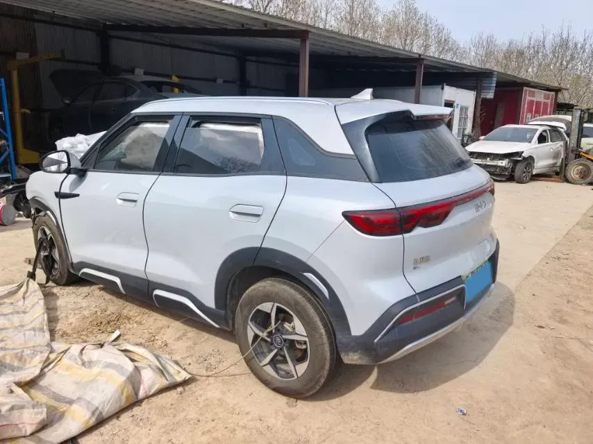 BYD YuanUP – 2024 – 3P8YBN